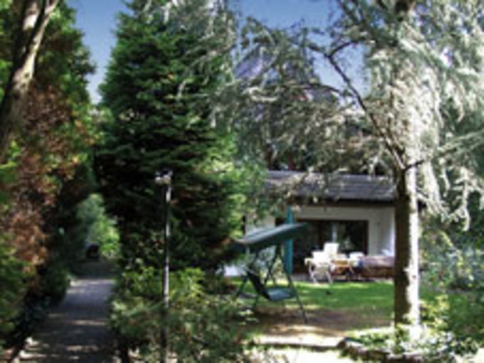 Garten mit verschiedenen Bäumen, Rasenfläche und einem weißen Haus mit Terrasse im Hintergrund