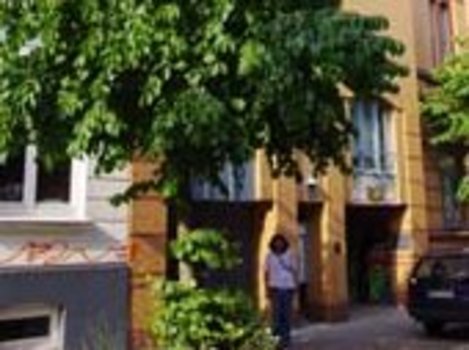 Baum vor mehrstöckigem Wohngebäude und geparktem Auto