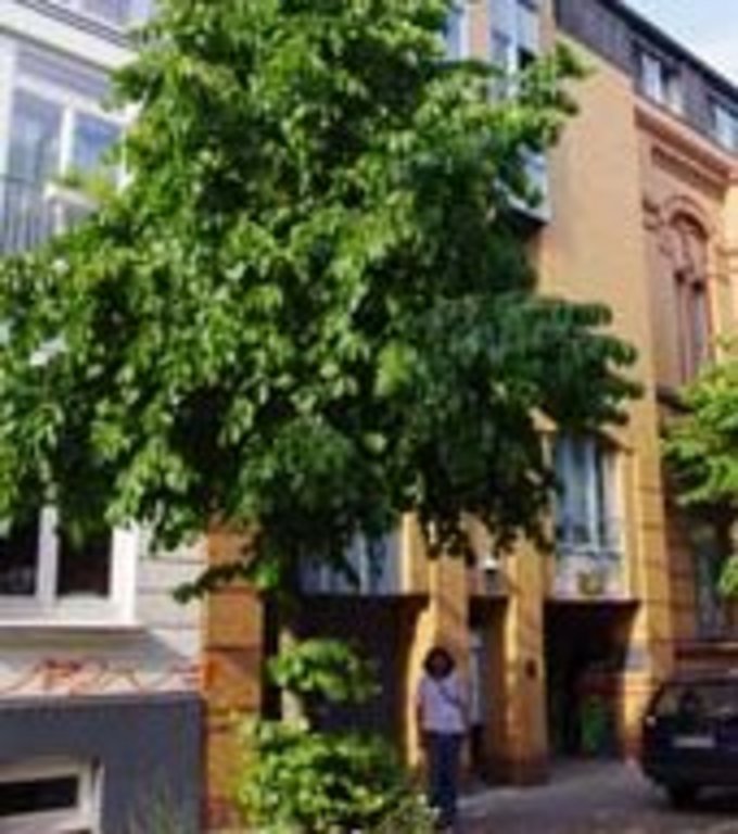 Baum vor mehrstöckigem Wohngebäude und geparktem Auto
